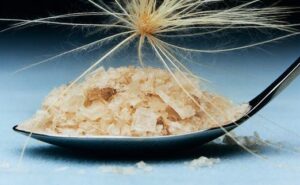 Trois ingrédients de haut vol pour cuisiner : ajvar, sel fumé de Maldon et tuna ganoush