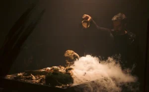 Dans la restauration, la course à l’« expérience »